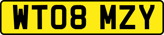 WT08MZY