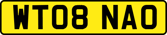 WT08NAO
