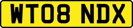 WT08NDX