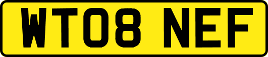 WT08NEF