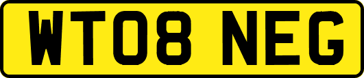 WT08NEG