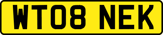 WT08NEK