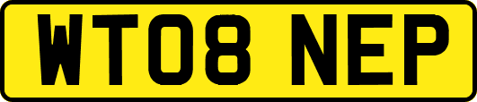 WT08NEP