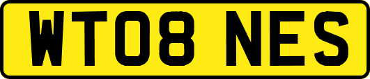 WT08NES