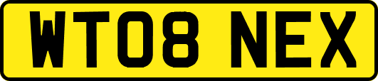 WT08NEX