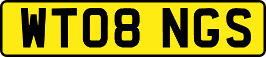 WT08NGS