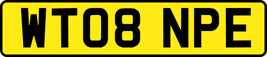 WT08NPE