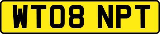 WT08NPT