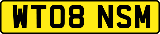 WT08NSM