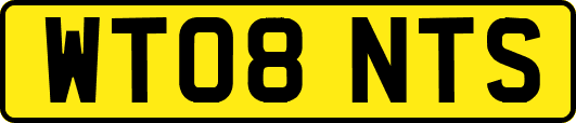 WT08NTS