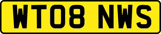 WT08NWS