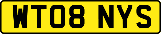 WT08NYS