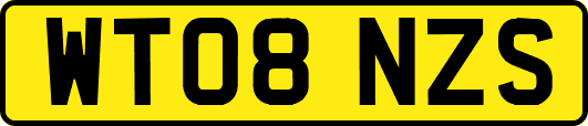 WT08NZS