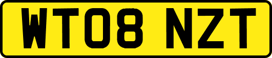 WT08NZT
