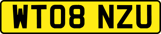 WT08NZU