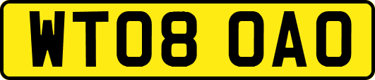 WT08OAO