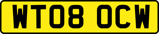 WT08OCW