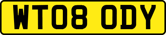 WT08ODY