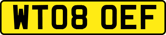 WT08OEF