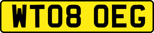 WT08OEG