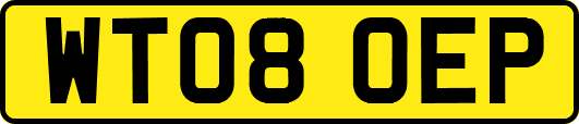 WT08OEP