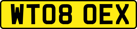 WT08OEX