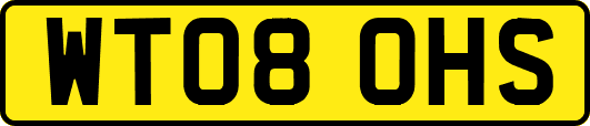 WT08OHS