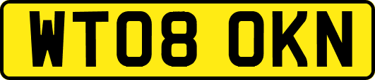 WT08OKN