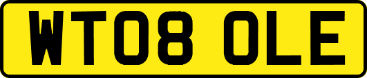 WT08OLE