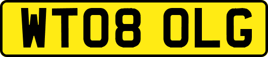 WT08OLG