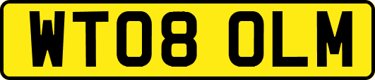 WT08OLM