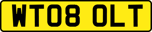 WT08OLT
