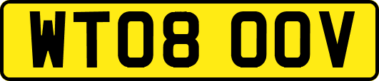 WT08OOV