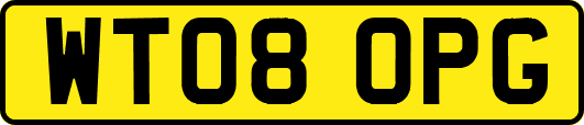WT08OPG