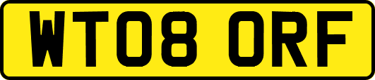 WT08ORF