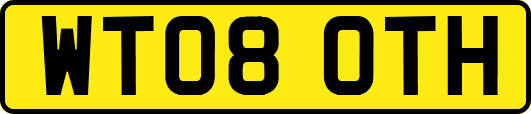 WT08OTH