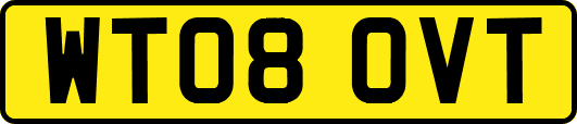 WT08OVT