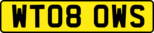 WT08OWS