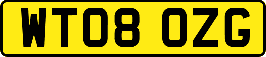 WT08OZG