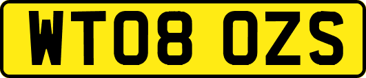 WT08OZS