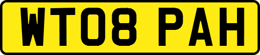 WT08PAH