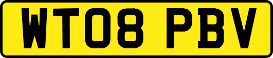 WT08PBV
