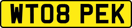 WT08PEK