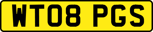 WT08PGS
