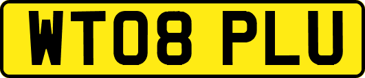 WT08PLU