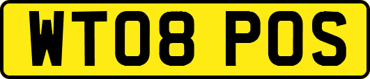 WT08POS