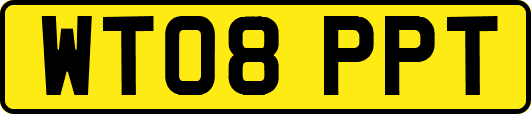 WT08PPT