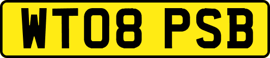 WT08PSB