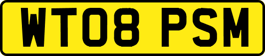 WT08PSM