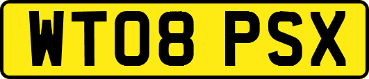 WT08PSX